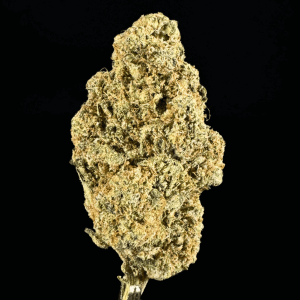 "Gelonade" THCa Flower