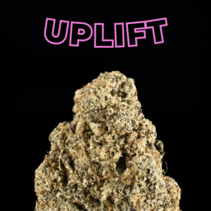 High fidelity co  #1 houston dispensary | shipping across usa   shop premium thca in houston texas   we are the best dispensary in houston for in store and online delivery of thca flower edibles and more