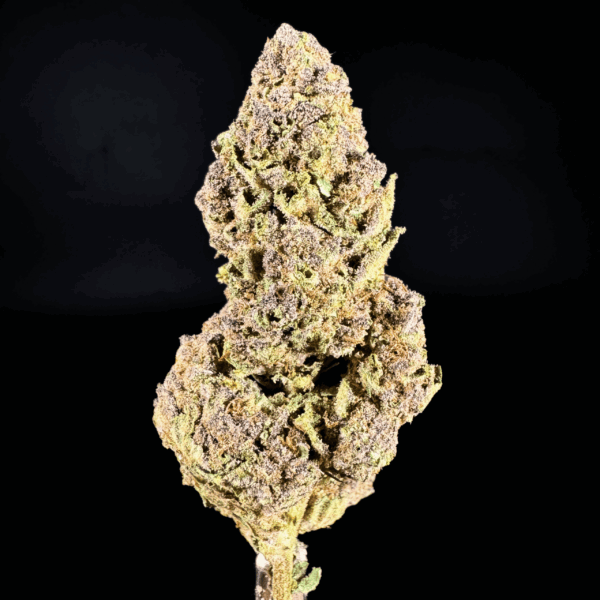 gorilla skunk thca flower