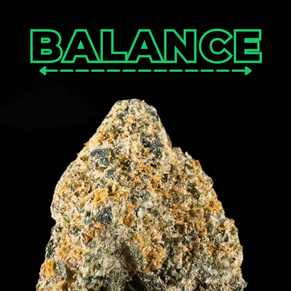 Guava Glider THCa Flower