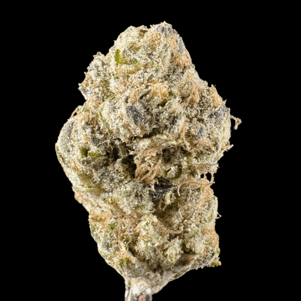 Mint Chocolate Chip THCa Flower