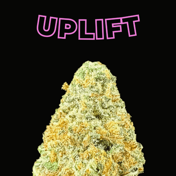 "Sour Petrol" THCa Flower