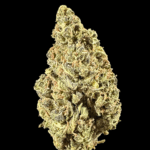 Sunset Sherbet Cookies THCa Flower