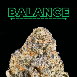High fidelity co  #1 houston dispensary | shipping across usa   shop premium thca in houston texas   we are the best dispensary in houston for in store and online delivery of thca flower edibles and more