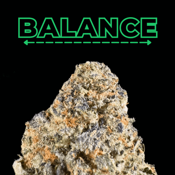 "Unicorn Candy" THCa Flower