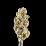 Cookies & Cream THCa Flower