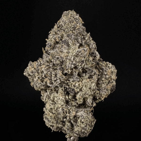 Northern Lights THCa Flower