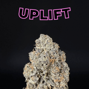 Purple Haze THCa Flower