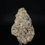 "Purple Urkle" THCa Flower