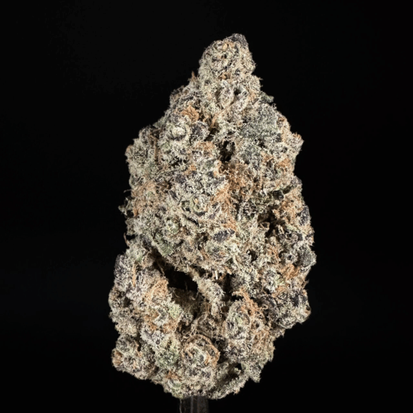 Black Dolphin THCa Flower