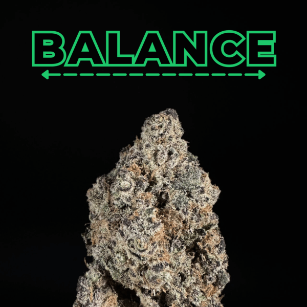 Black Dolphin THCa Flower