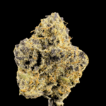 Blue Rhino THCa Flower