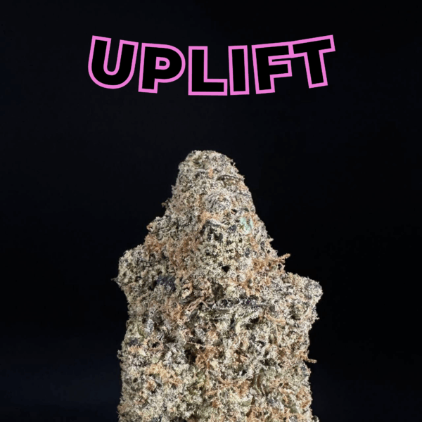 Fruit Loop THCa Flower