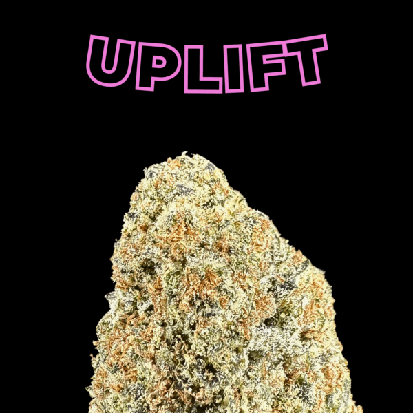 Gelonade THCa Flower