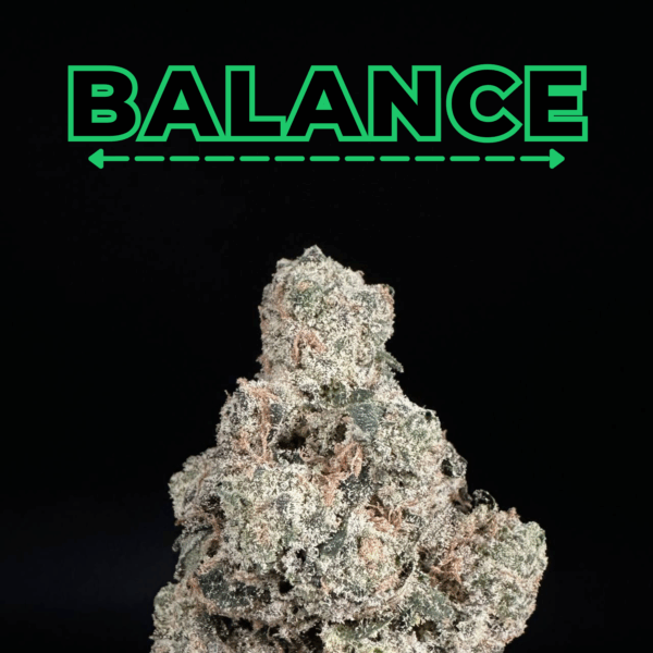 Grape Gas THCa Flower