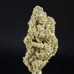 Gush Candy THCa Flower