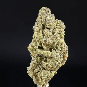 Gush Candy THCa Flower