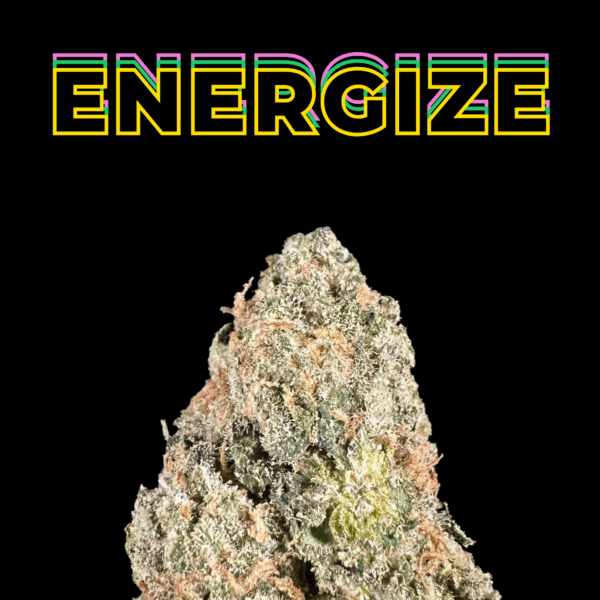 Jack Herer THCa Flower