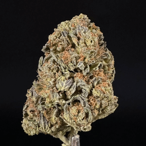Maui Wowie THCa Flower