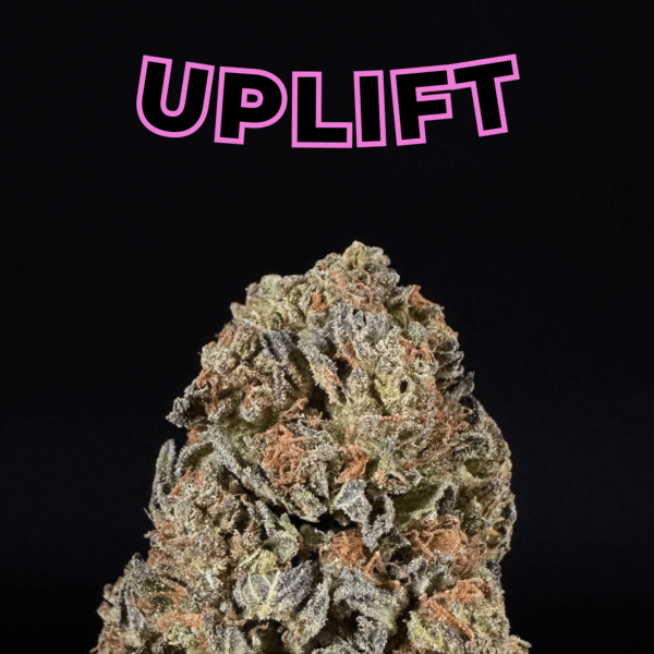 Maui Wowie THCa Flower