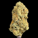 Orange Marmalade THCa Flower