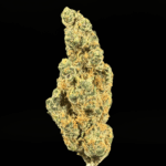 Orange Push Pop THCa Flower