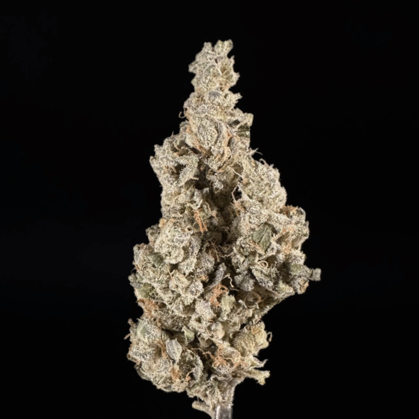 Sour Face OG THCa Flower