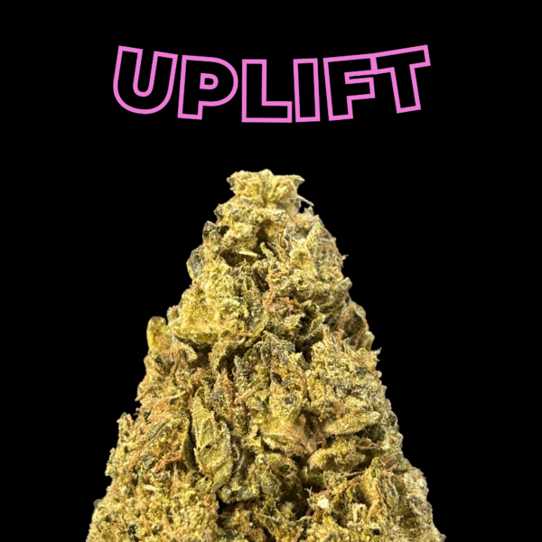 Sizzler THCa Flower