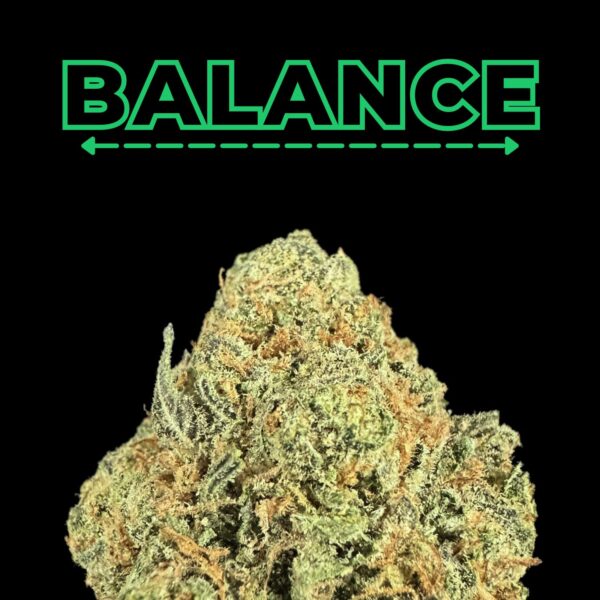 "Blue Nerds" THCa Flower