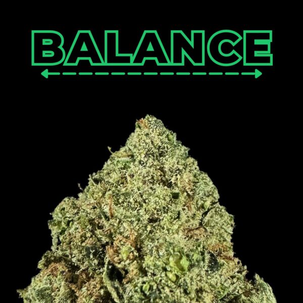 "Kandy Kush" THCa Flower