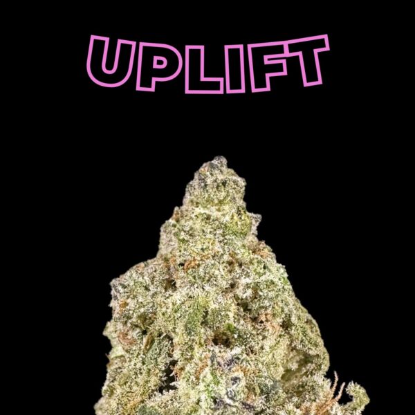 "Mac 1" THCa Flower (HF1125)