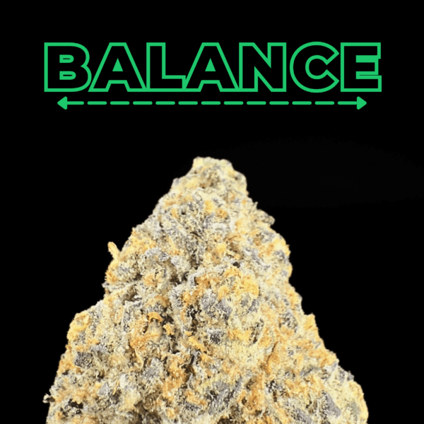 "Mr. Stinky" THCa Flower