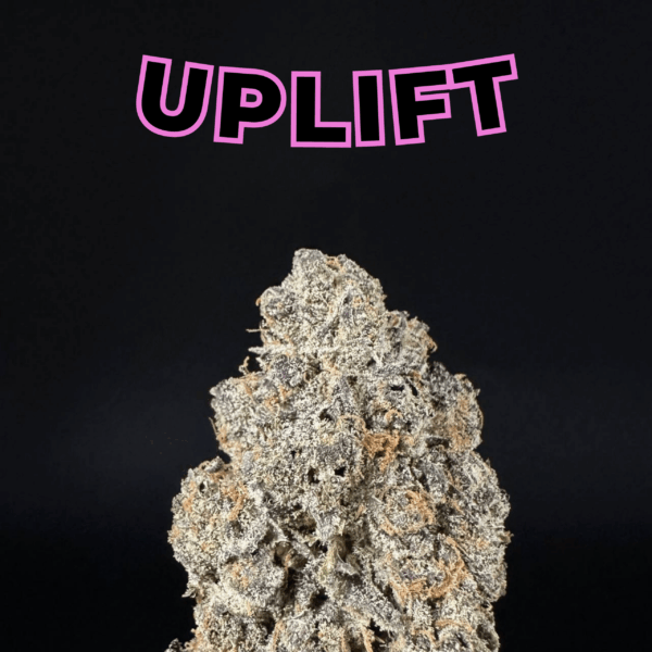 "Purple Haze" THCa Flower