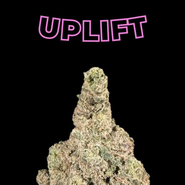 "Mango Mentality" THCa Flower