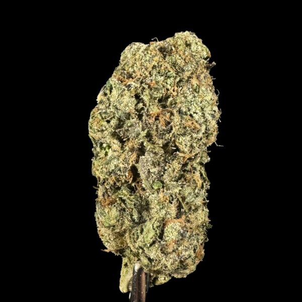 "GMO" THCa Flower (HF0126)