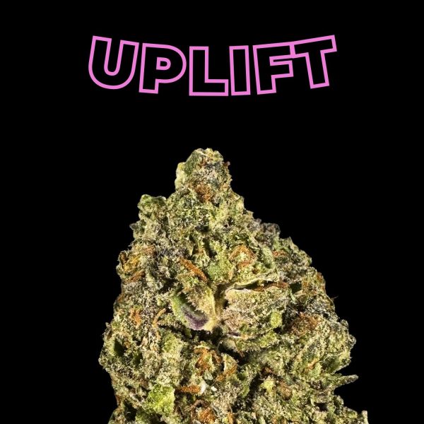 Guava Runtz THCa Flower