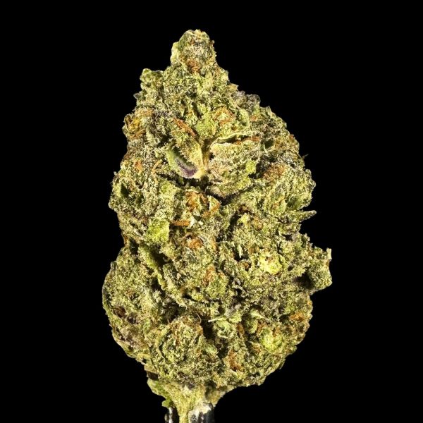 Guava Runtz THCa Flower