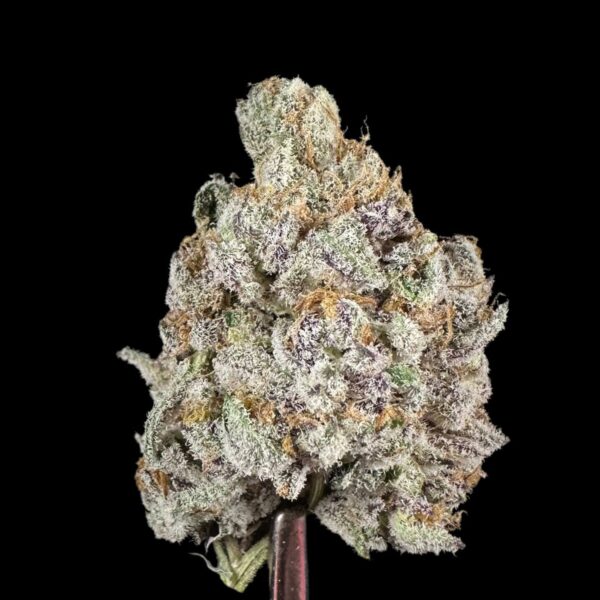 "Peanut Butter Brittle" THCa Flower (HF0126)