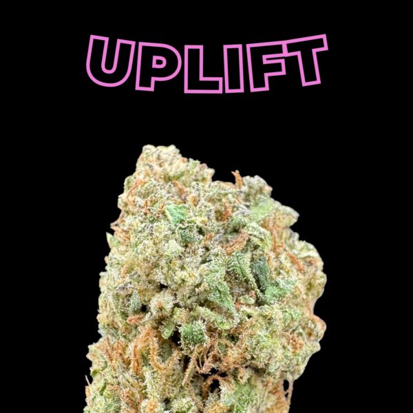 Pink Runtz THCa Flower