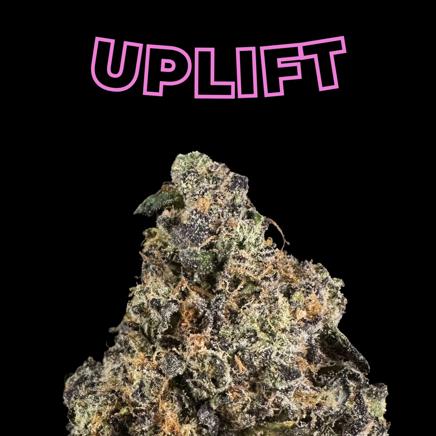 “Super Lavender Butter” THCa Flower (HF0126)
