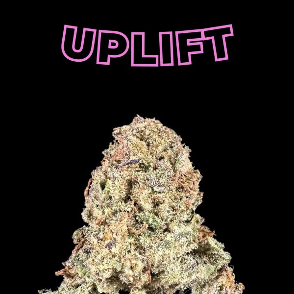 "Pineapple Express" THCa Flower