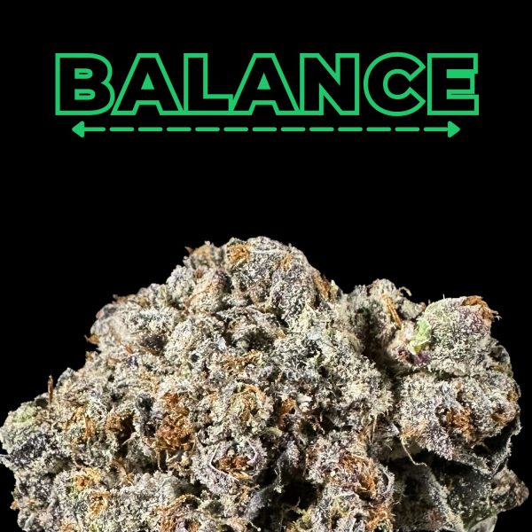 Platinum Gushers THCa Flower