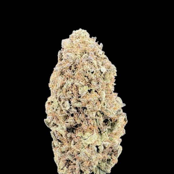 "Rainbow Sherbert" THCa Flower (HF0226)