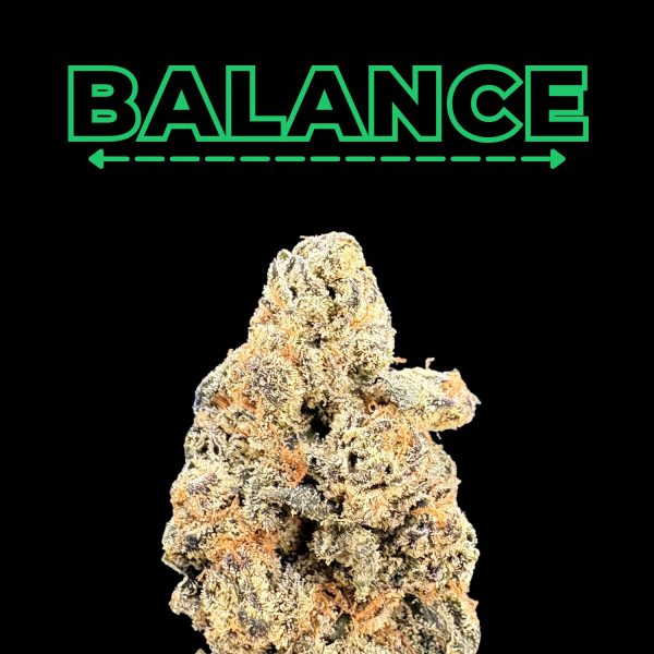 "Apple Fritter" THCa Flower (HF0326)