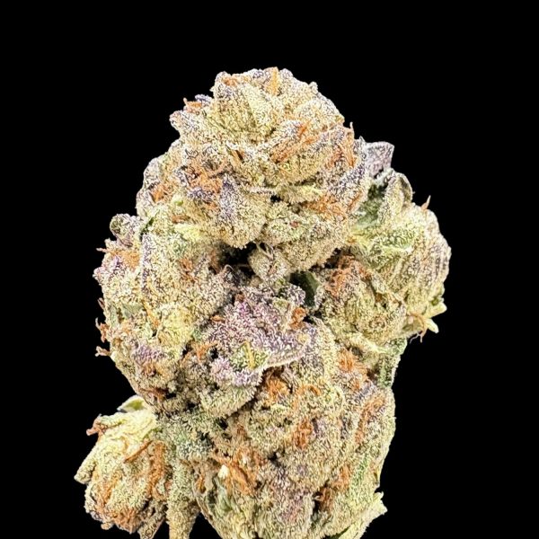 Biscotti Cream Pie THCa Flower