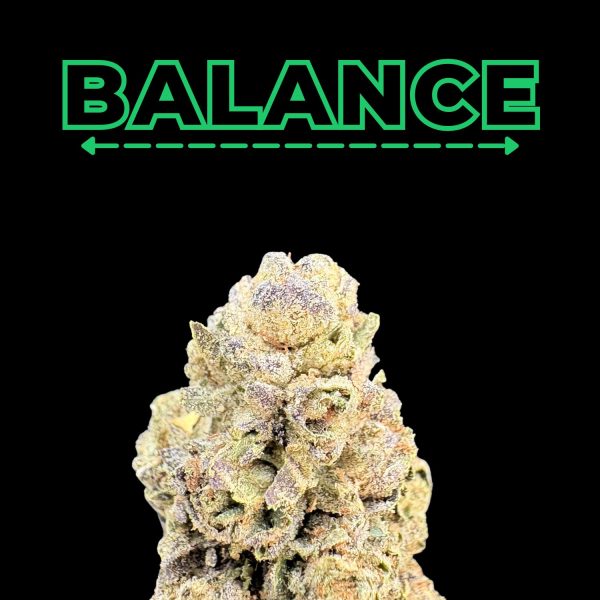 Holy Grail X Trop Cherry THCa Flower