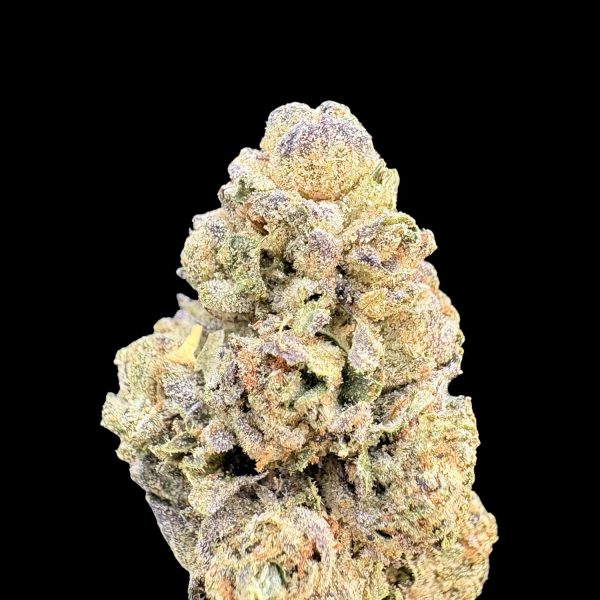 Holy Grail X Trop Cherry THCa Flower