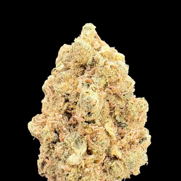 Rising Star "Jack Herer" THCa Flower