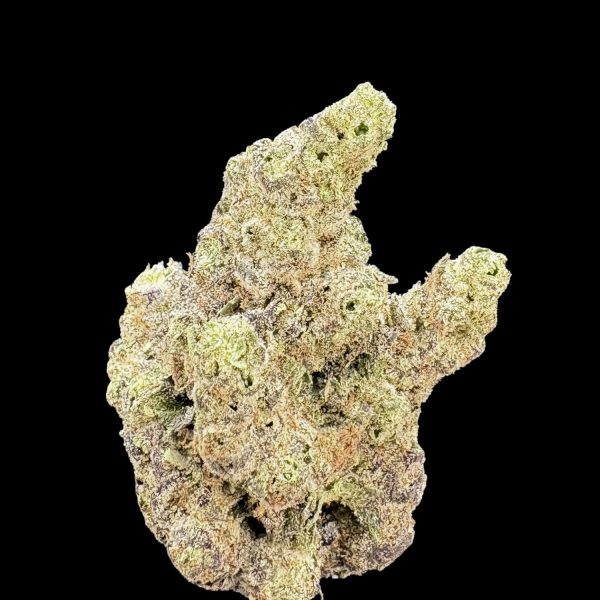 "Mango Mentality" THCa Flower (HF0326)