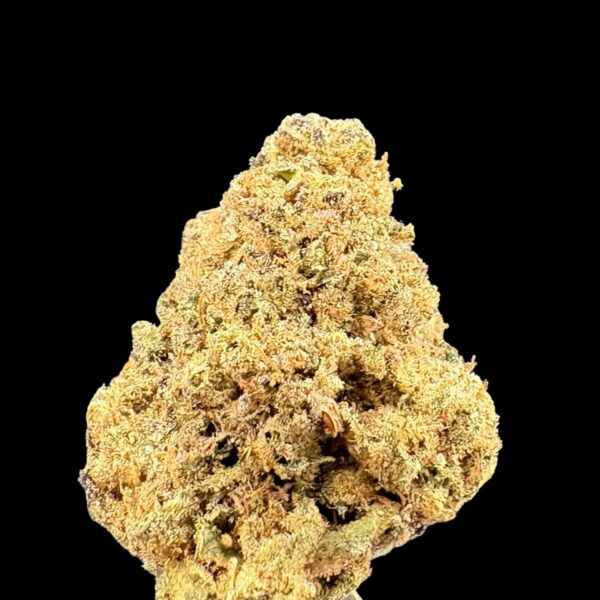 Close-up of a dense cannabis nugget with orange hairs and a frosty coating on a black background